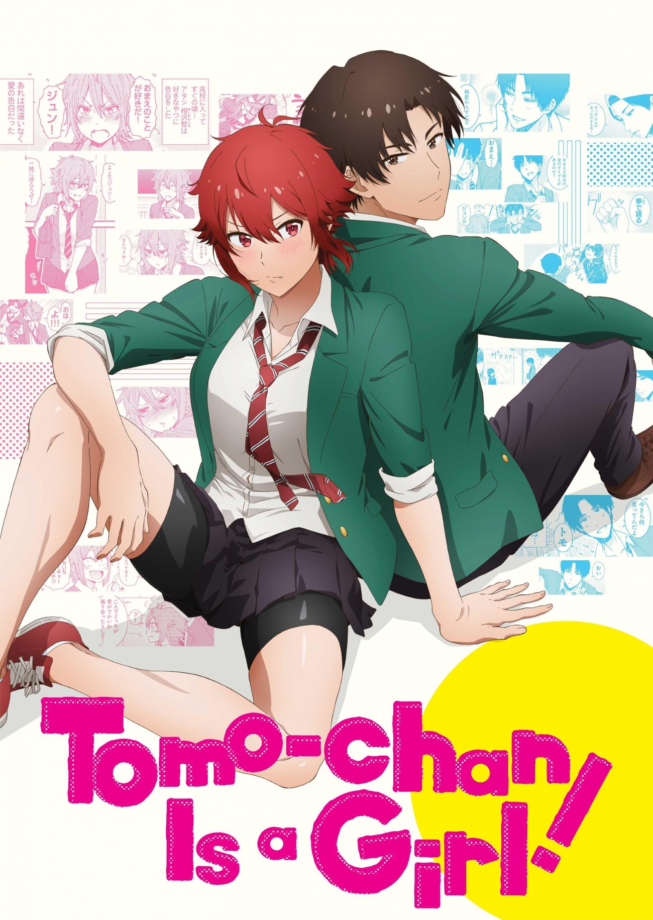 Tomo-chan Is a Girl! Character